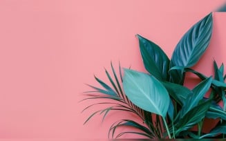 Leaves Plants On Pink Background With Copy Space 99