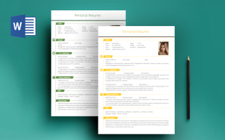 The CV -Souley Moni CV - Printable Creative Resume Template