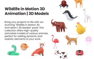 Wildlife in Motion 3D Animation | 3D Models