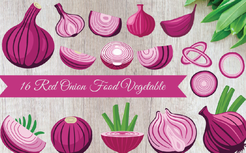 16 Red Onion Food Vegetable Illustration