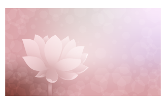 Floral Backgrounds 14400x8100px In Pink Color Scheme With Lotus