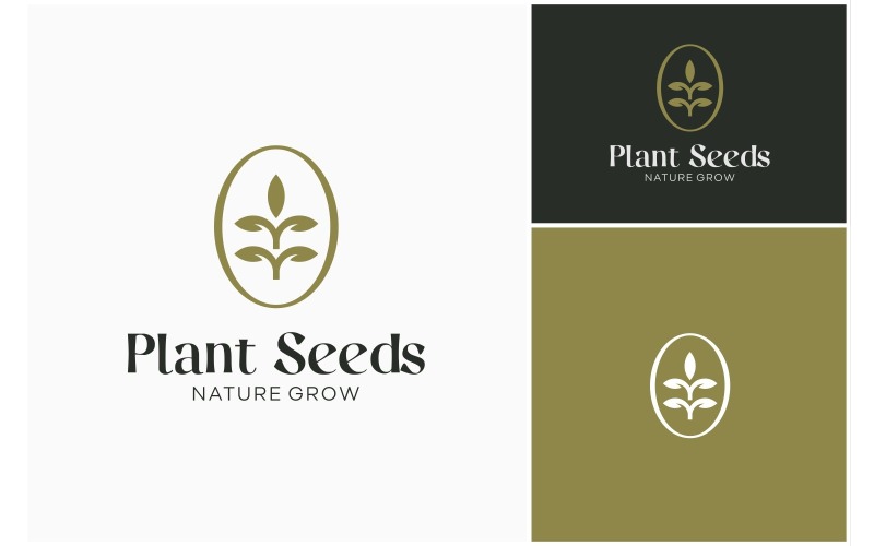 Wheat Grain Plant Seed Logo Logo Template