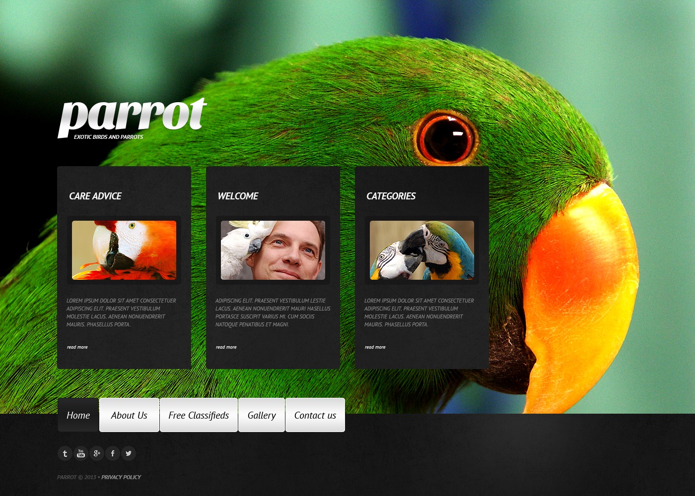 Birds Website Template #43178