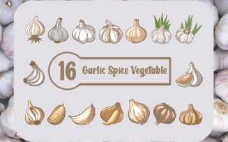 16 Garlic Spice Food Vegetable