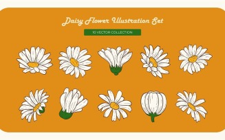 Daisy Flower Vector Set Collection