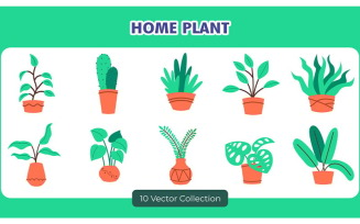 Home Plant Decor Vector Set Collection