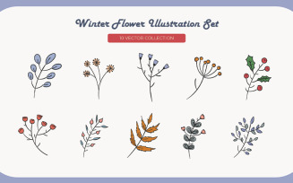 Winter Flower Illustration Set