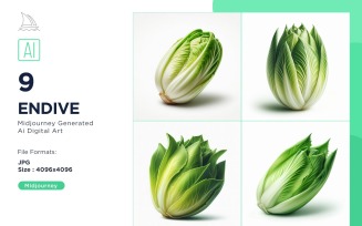 Fresh Endive Vegetable on White Background Set