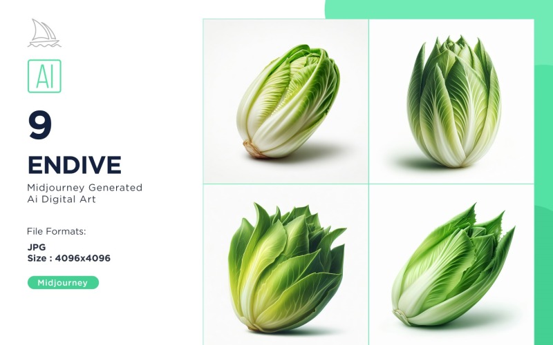 Fresh Endive Vegetable on White Background Set Illustration