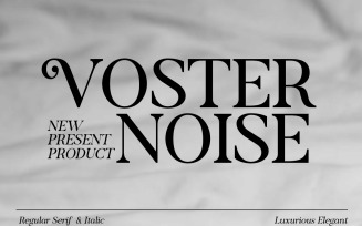 Voster Noise serif modern