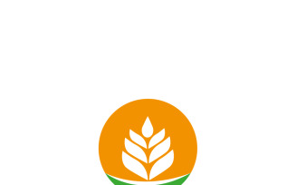 Grain wheat logo concept icon symbol
