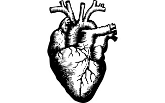 human heart with half stone and half flesh ink drawing illustration