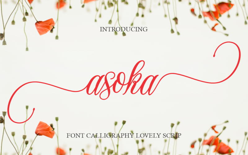 Asoka Handwritten Font Calligraphy