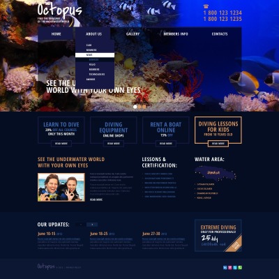 11+ Best Diving Website Templates