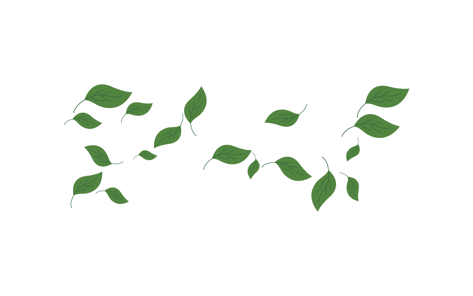 hojas fondo patrón vector diseño plano