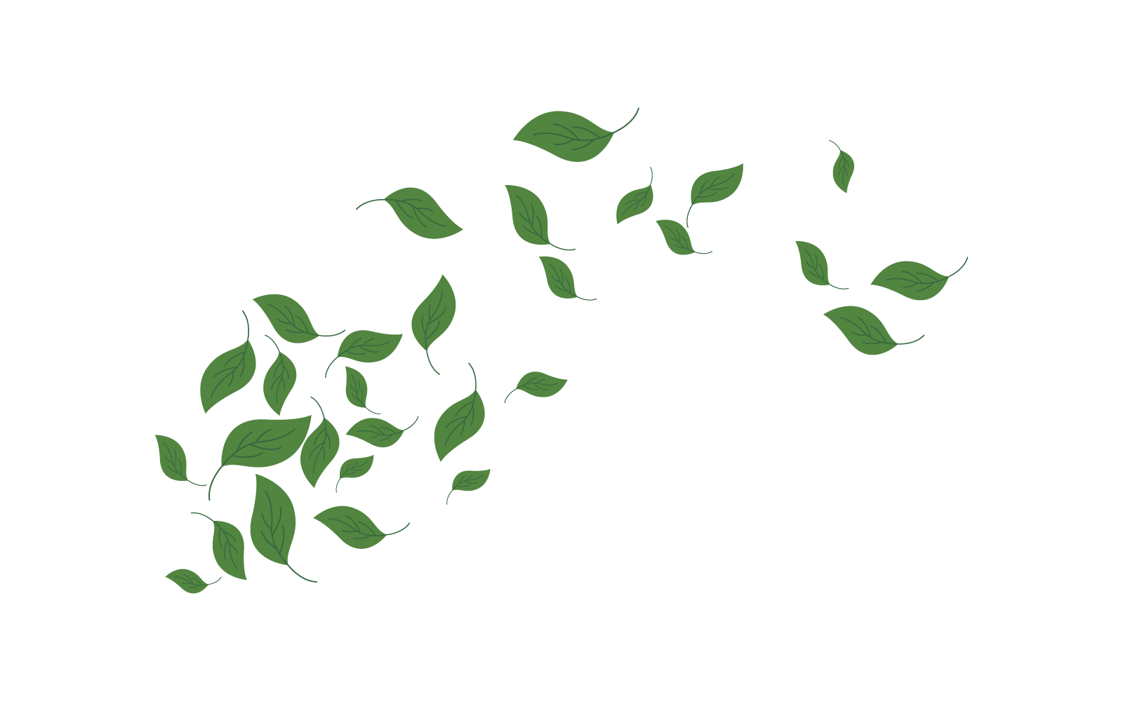 plantilla de vector de patrón de fondo de hojas
