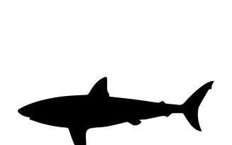 Large and dangerous shark, black silhouette