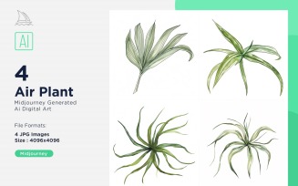 Air Plant Plant Leaves Watercolor 4 Set