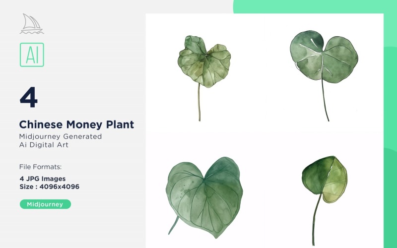 Chinese Money Plant Plant Leaves Watercolor 4 Set Illustration