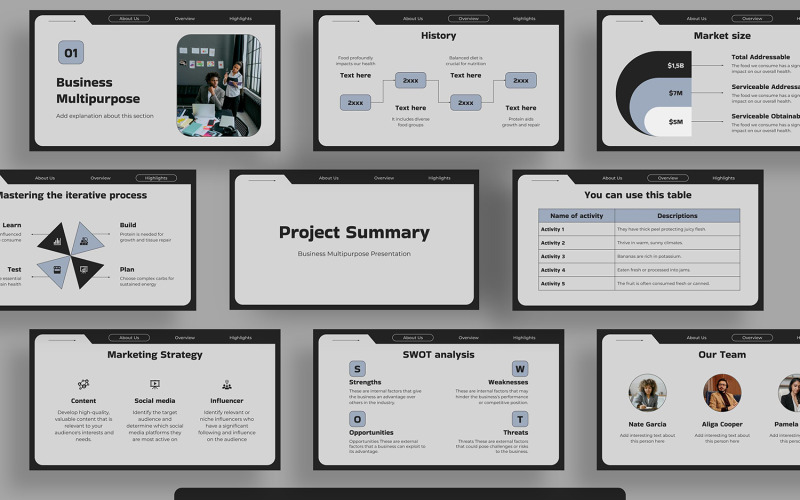 Project Summary Multipurpose PowerPoint PowerPoint Template