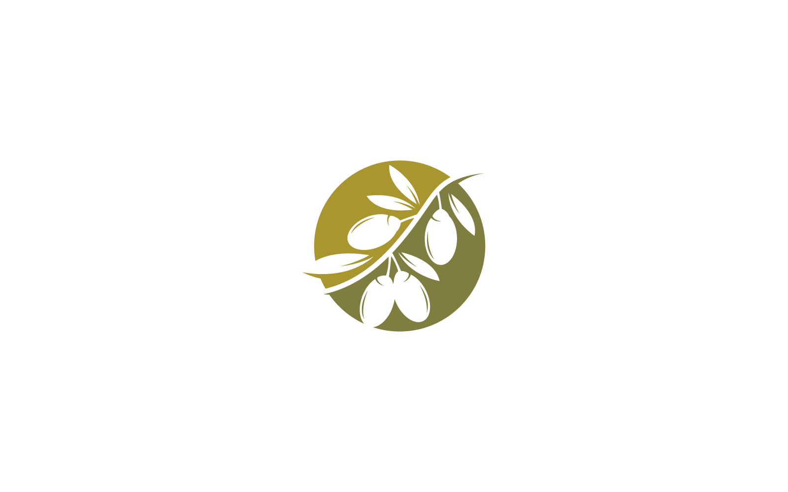 olivový logo šablona ilustrace design vektor