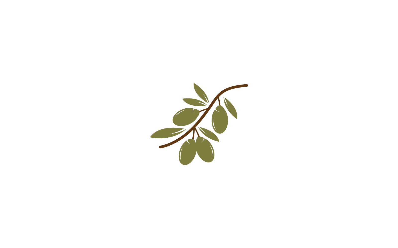 olivový logo šablona ilustrace vektorové plochý design