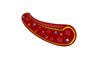 Artery With Blood Cells Illustration Medical content