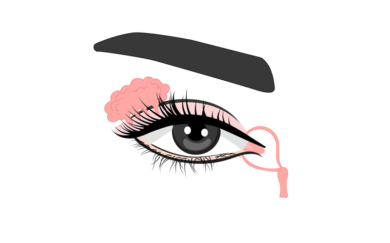 Eye and Lacrimal Gland Vector Vector Graphic