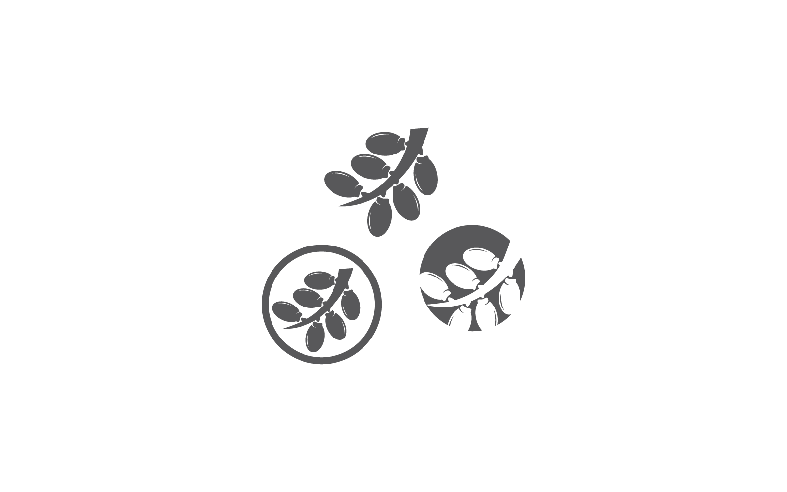 Date fruits logo illustration design vector