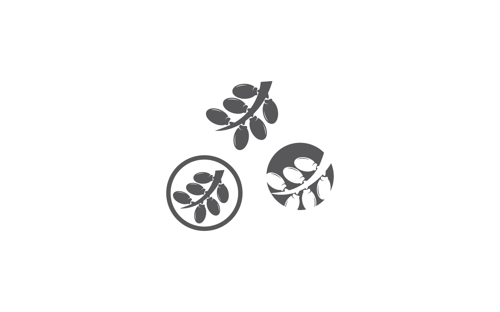 Dattelfrüchte-Logo-Illustrationsdesign-Vektor