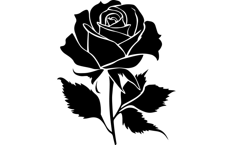 Black rose flower vector art Illustration