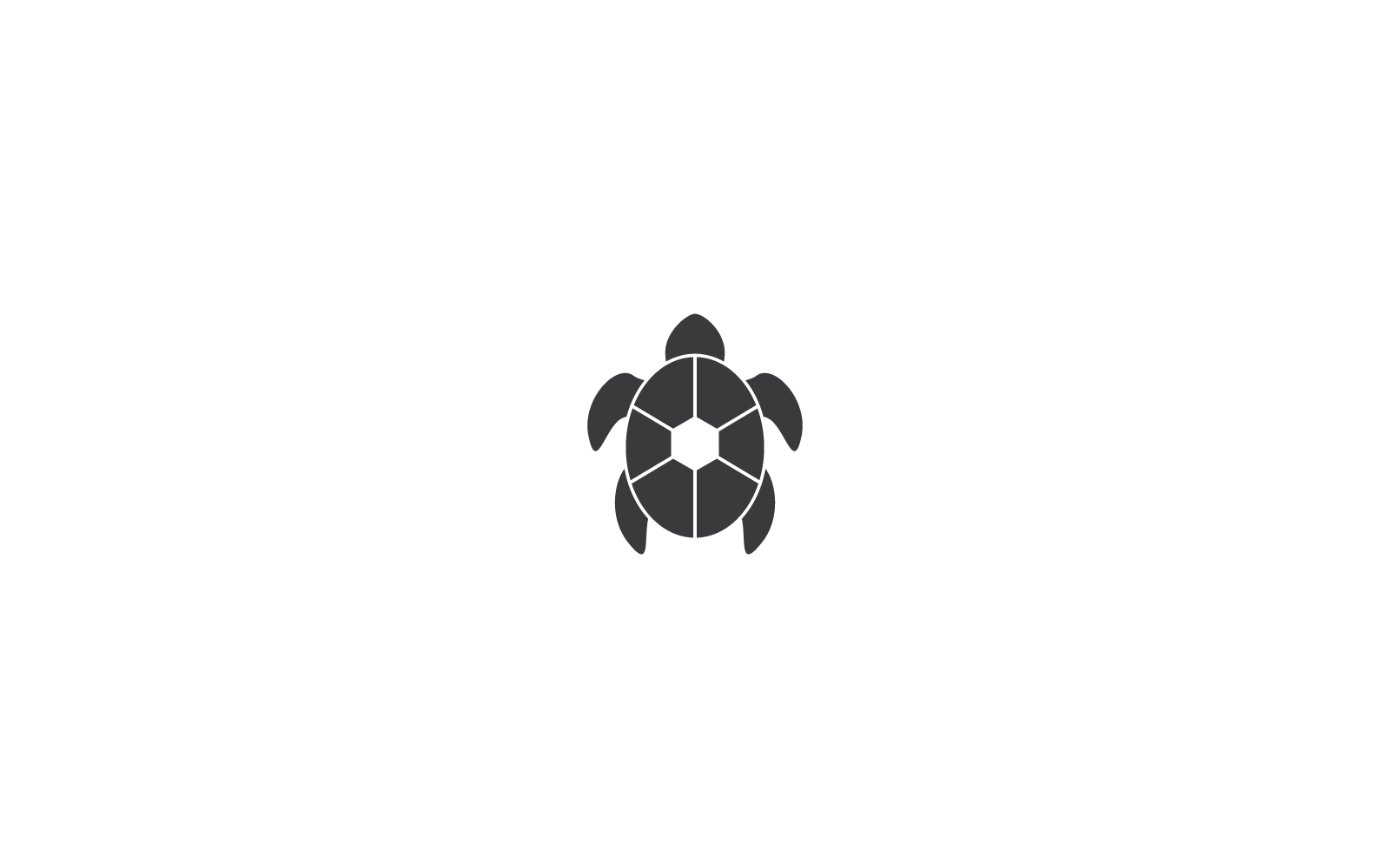 Turtle illustration logo vector illustration design