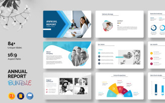 Annual Report - Presentation Bundle