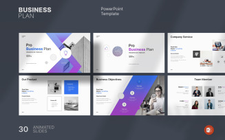 Pro Business Plan Presentation Template