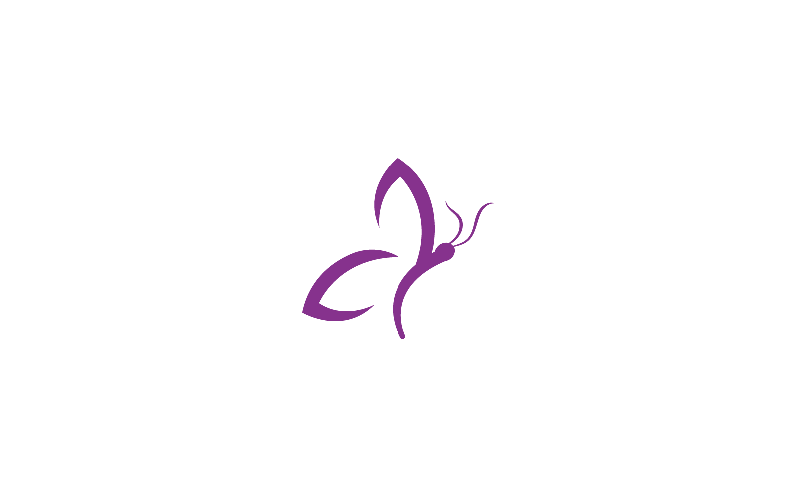 Butterfly Logo Template Vector design icon