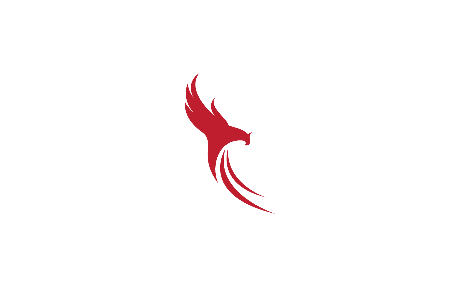 Falcon Eagle Bird Logo Template flat design vector