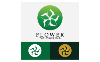 Flower beauty colorful icon logo template version 45