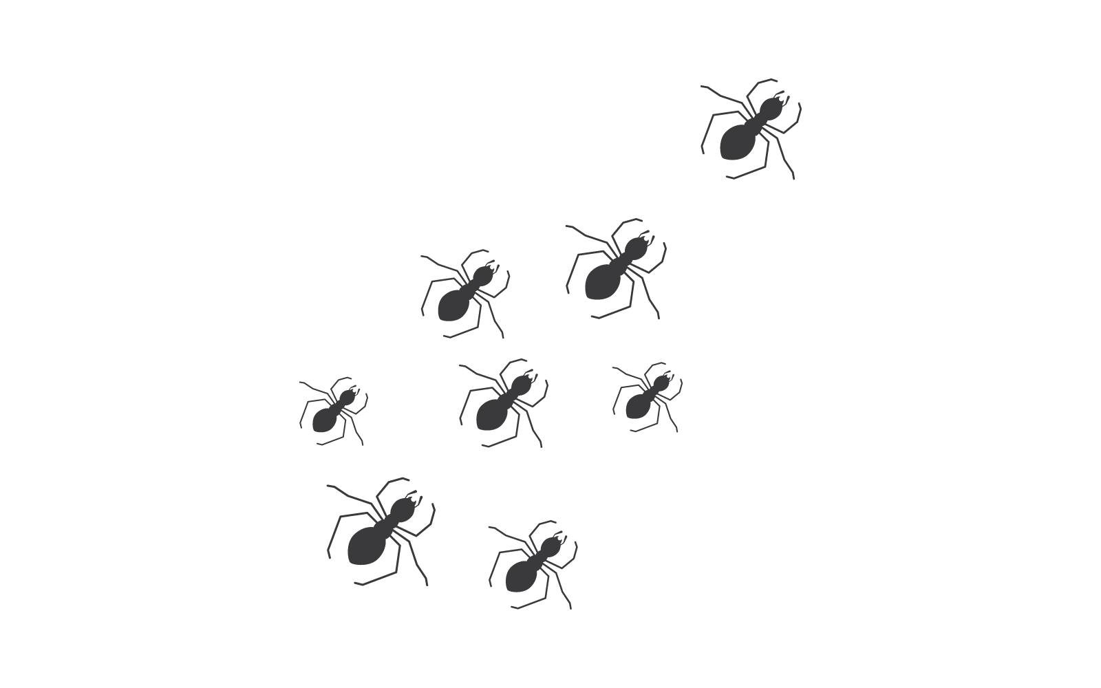 Ant Background template vector illustration design