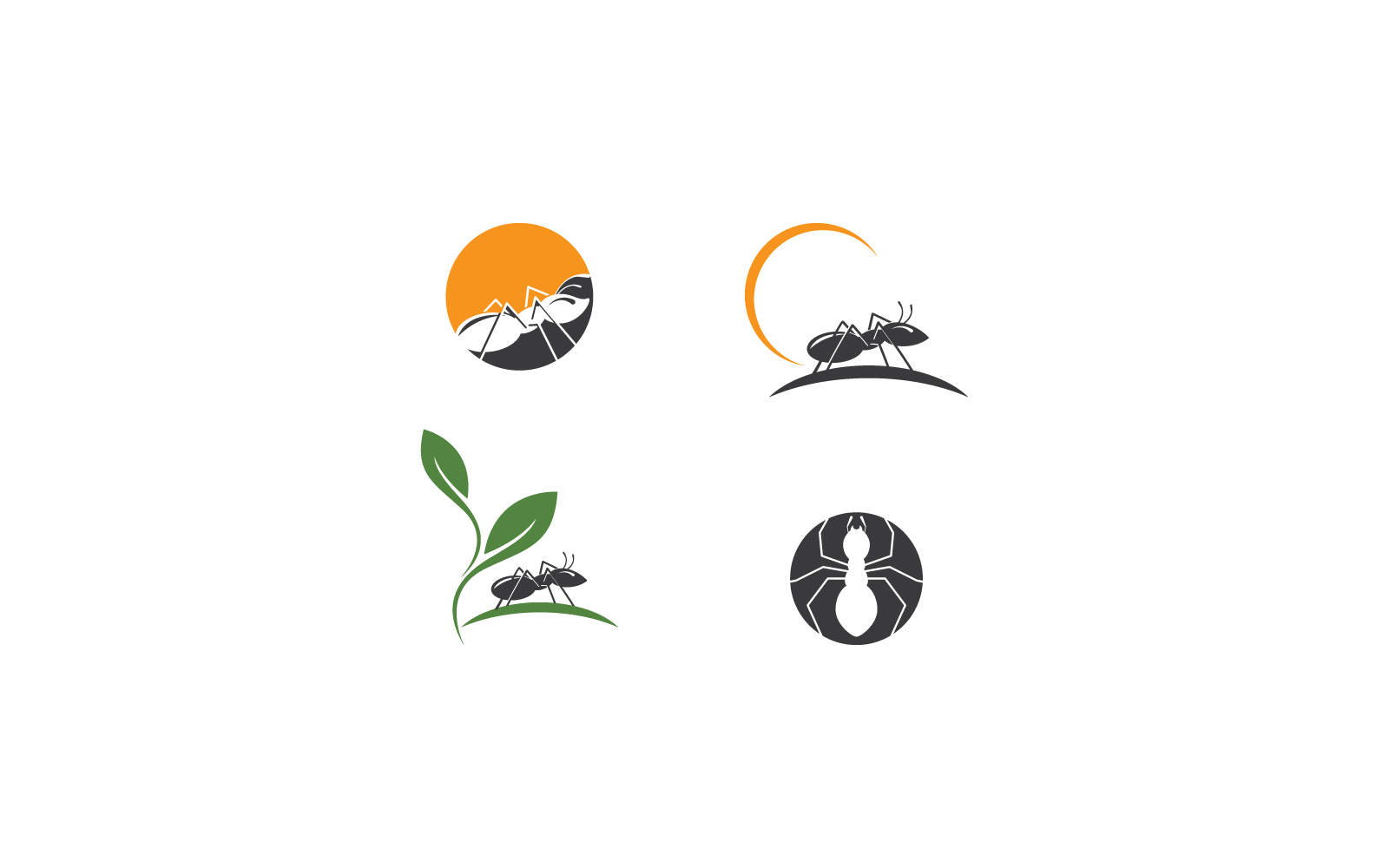 Ant Logo flat design template vector illustration