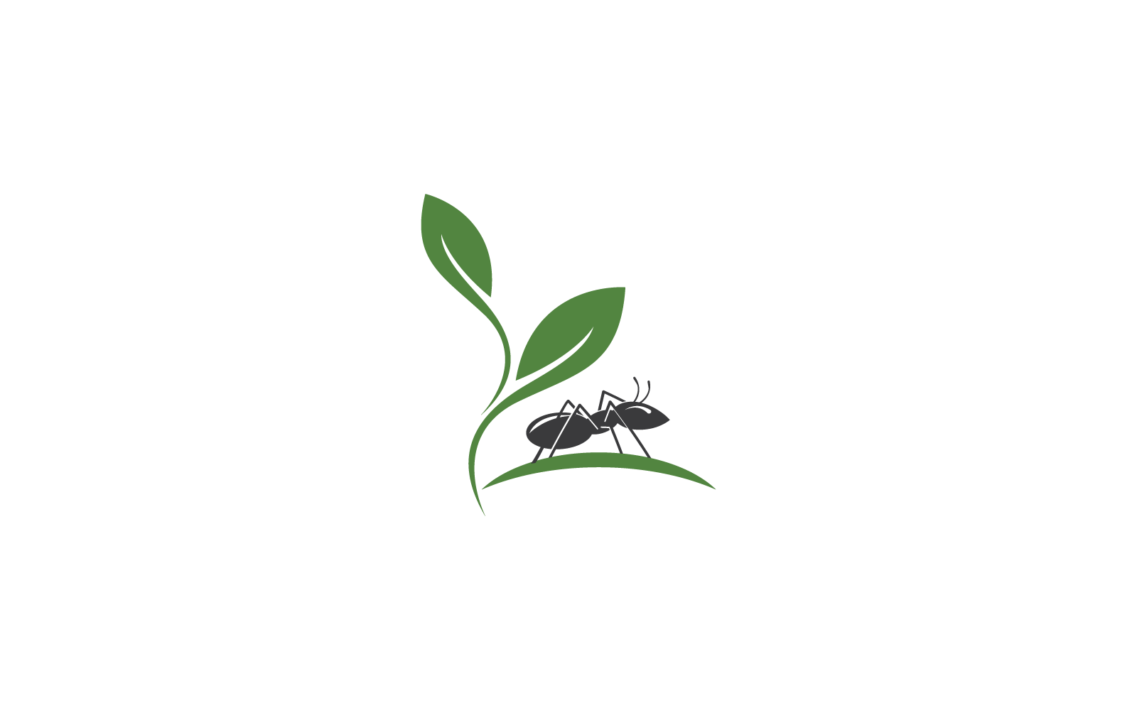 Ant Logo icon vector illustration design