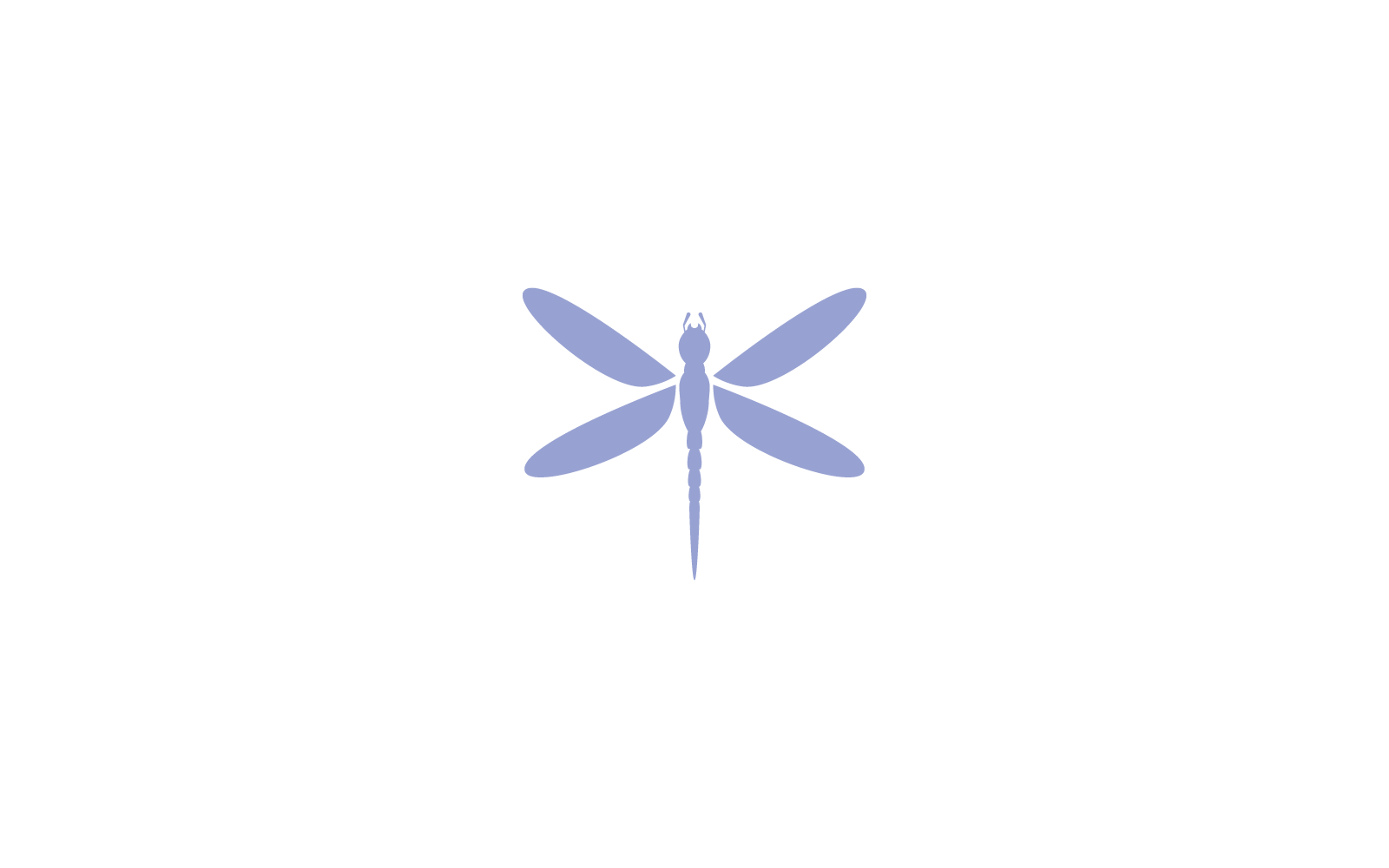 Dragonfly logo flat design template