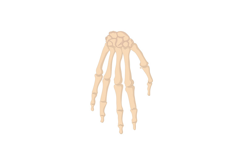 Human Hand Bones Medical Content Vector Graphic