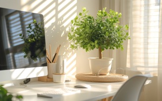 Green Plant vase with tea cup on the table 215