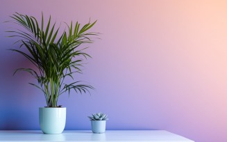 Green Plant White vases on the white table in colorfull wall 247