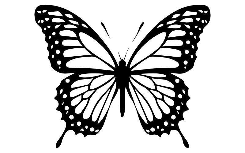 butterfly silhouette vector art illustration with white background Illustration