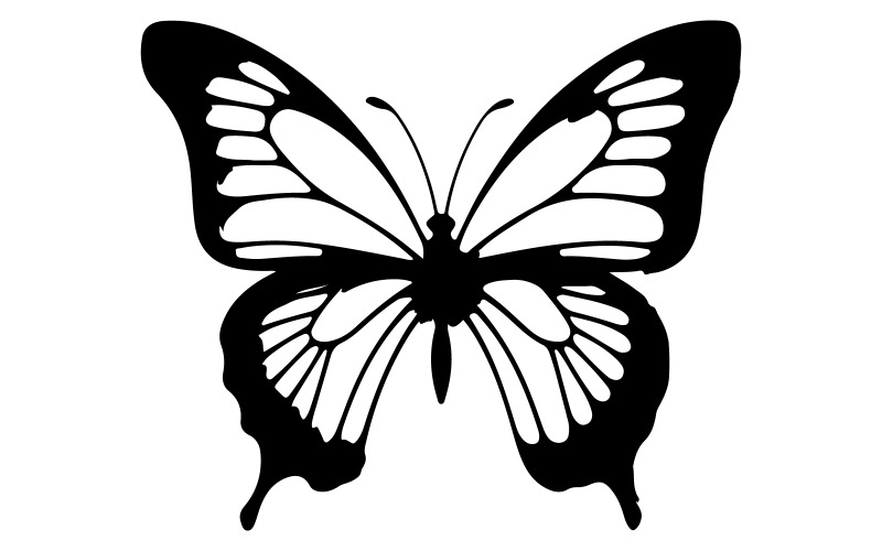 butterfly silhouette vector art illustration Illustration