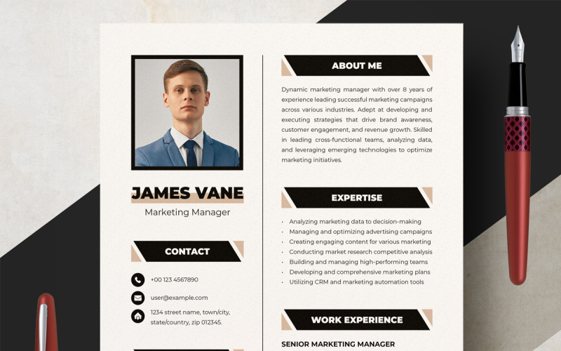 Classic CV Resume Template Design