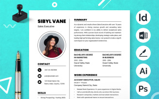 Classic Resume Template Layout