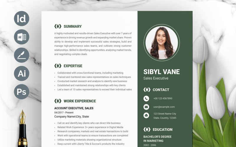 Elegant Business Resume Template