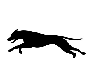 Silhouette of dog running, dog playing